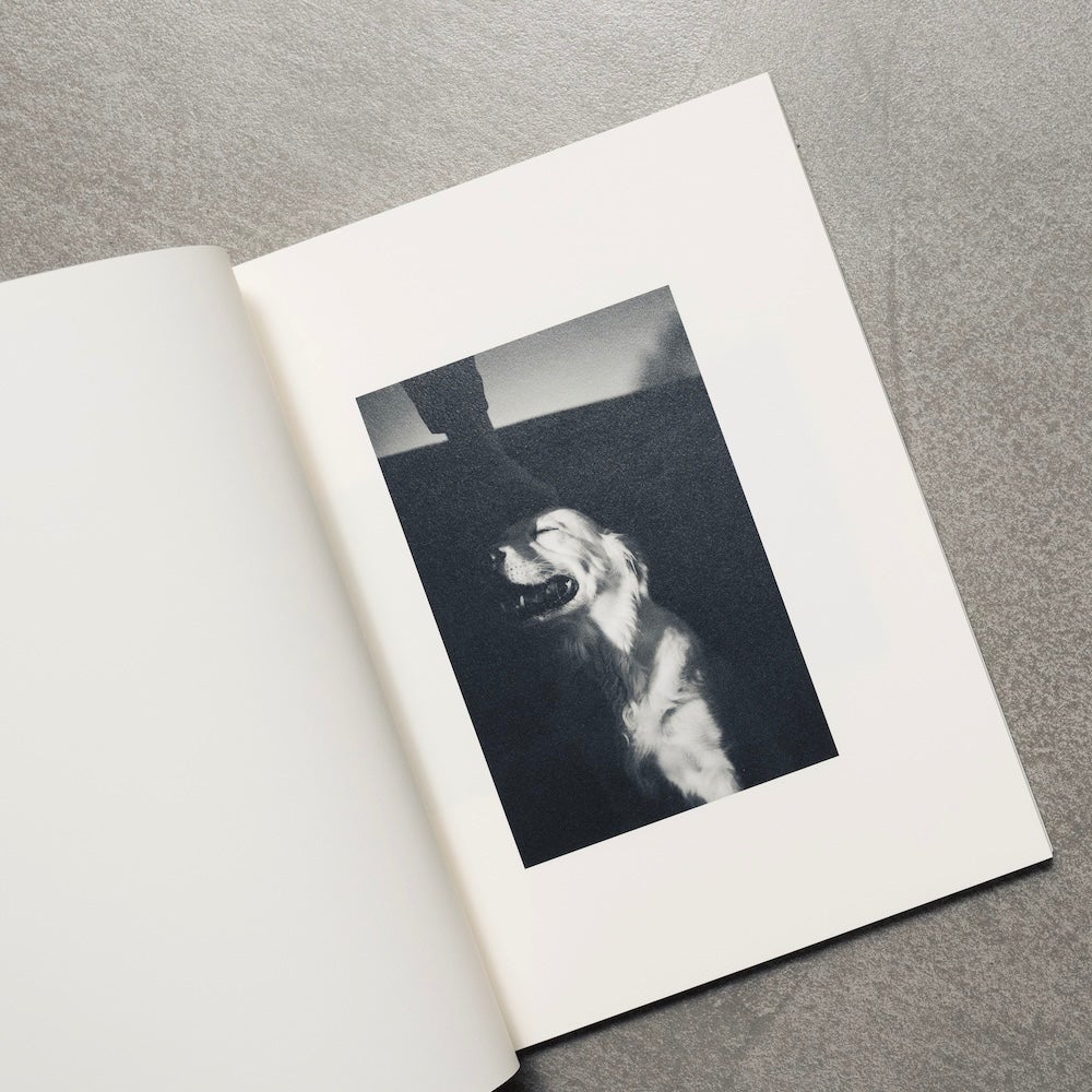 コムロミホ Life with the Dog | MONO GRAPHY