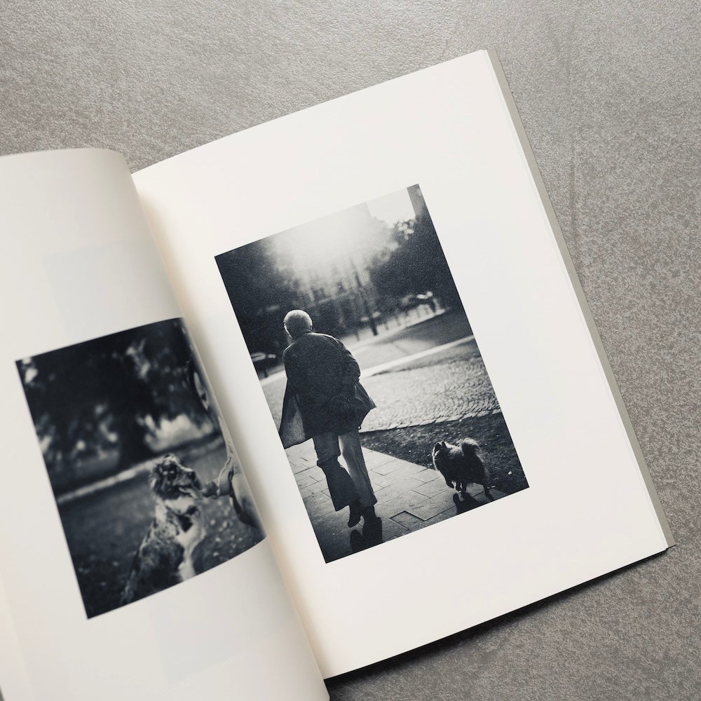 Life with the Dog Comuromiho コムロミホ　手紙付き コムロミホ Life with the Dog | MONO GRAPHY