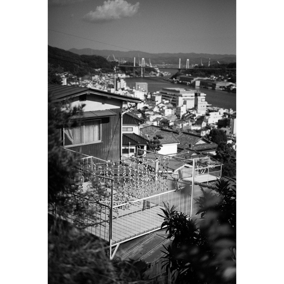 コムロミホ 猫のよう | MONO GRAPHY
