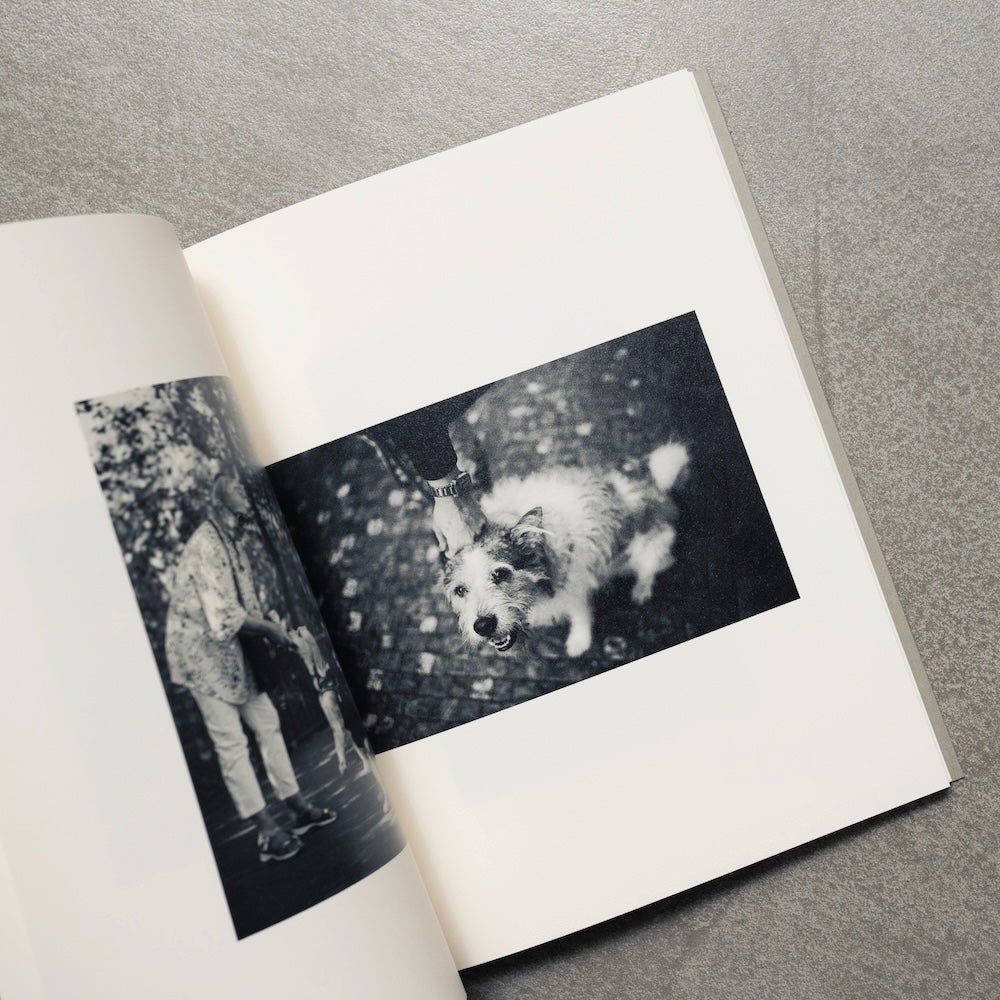 Life with the Dog Comuromiho コムロミホ　手紙付き コムロミホ Life with the Dog | MONO GRAPHY